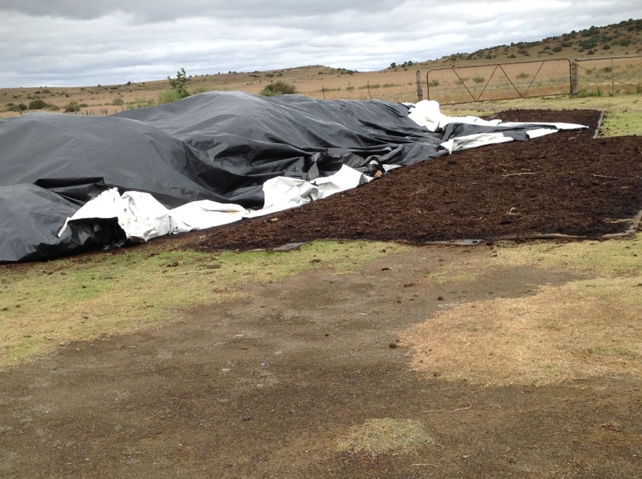 4 Bedroom Property for Sale in Dewetsdorp Rural Free State